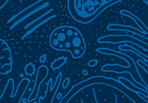 Bild: Überlebensstrategien: Diabetes – mehr als Zucker