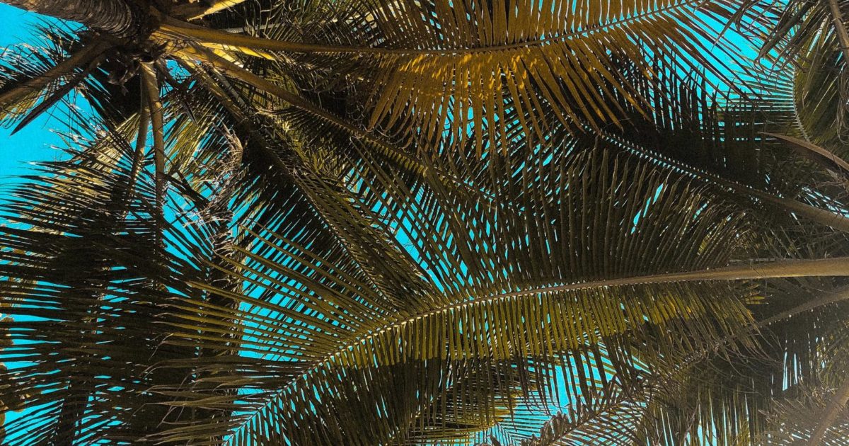 International Summer Party | Karlstorbahnhof e.V.