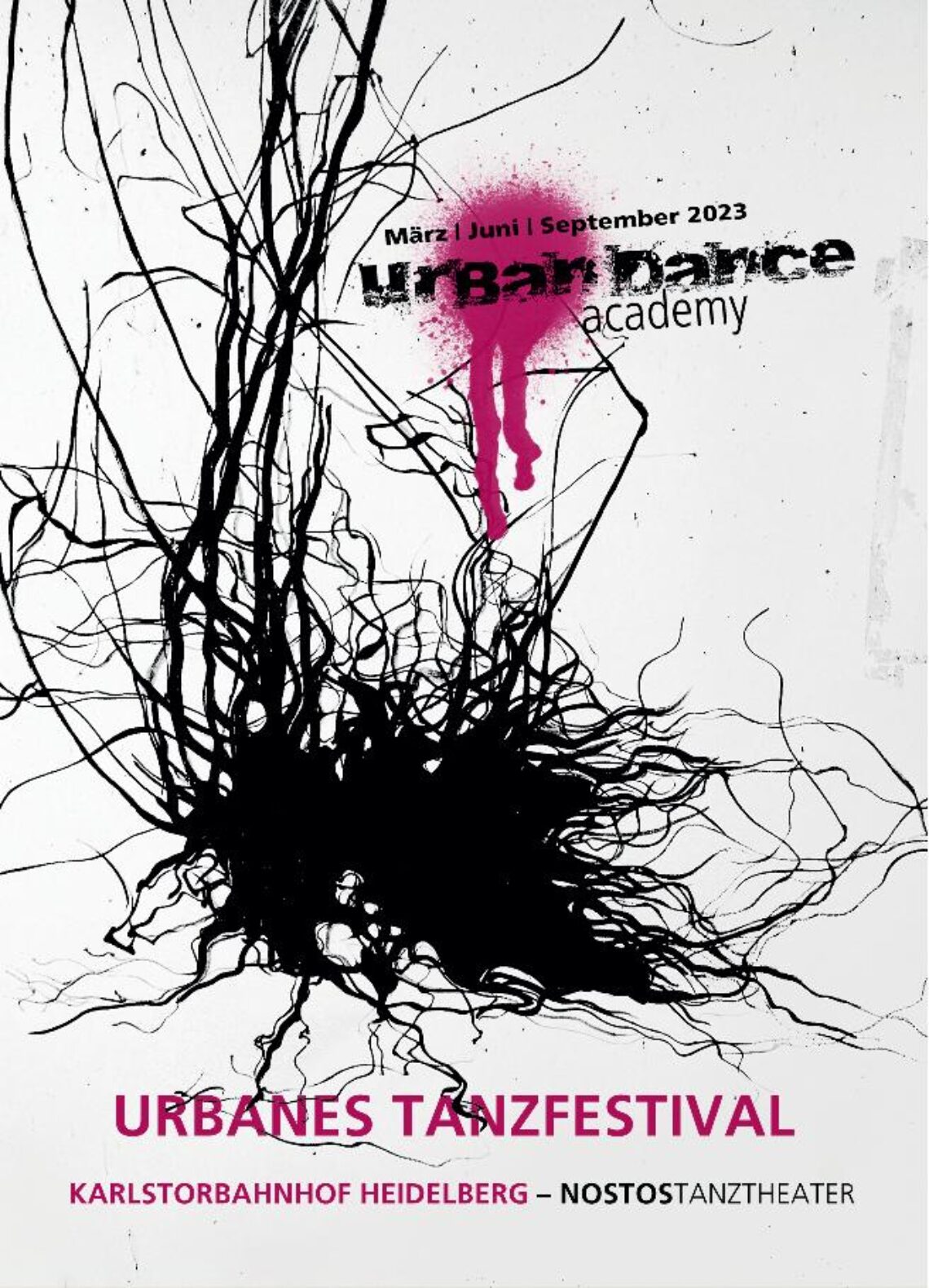 Bild: Neu: Urban Dance Academy