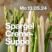 Bild: Montagstopf: Spargel-Creme-Suppe