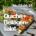 Bild: Montagstisch: Quiche + Beilagensalat (vegan)