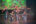 Bild: Jungle of (E)Motion