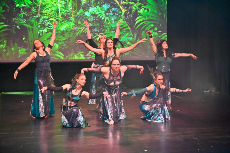 Bild: Jungle of (E)Motion