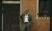 Bild: Baxter Dury