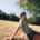 Bild: Endless Summer mit Carlo Karacho