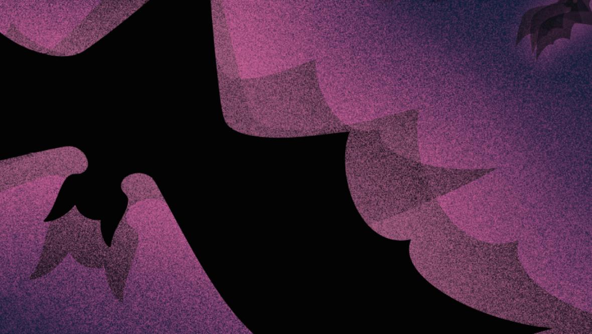 Bild: Halloween Party