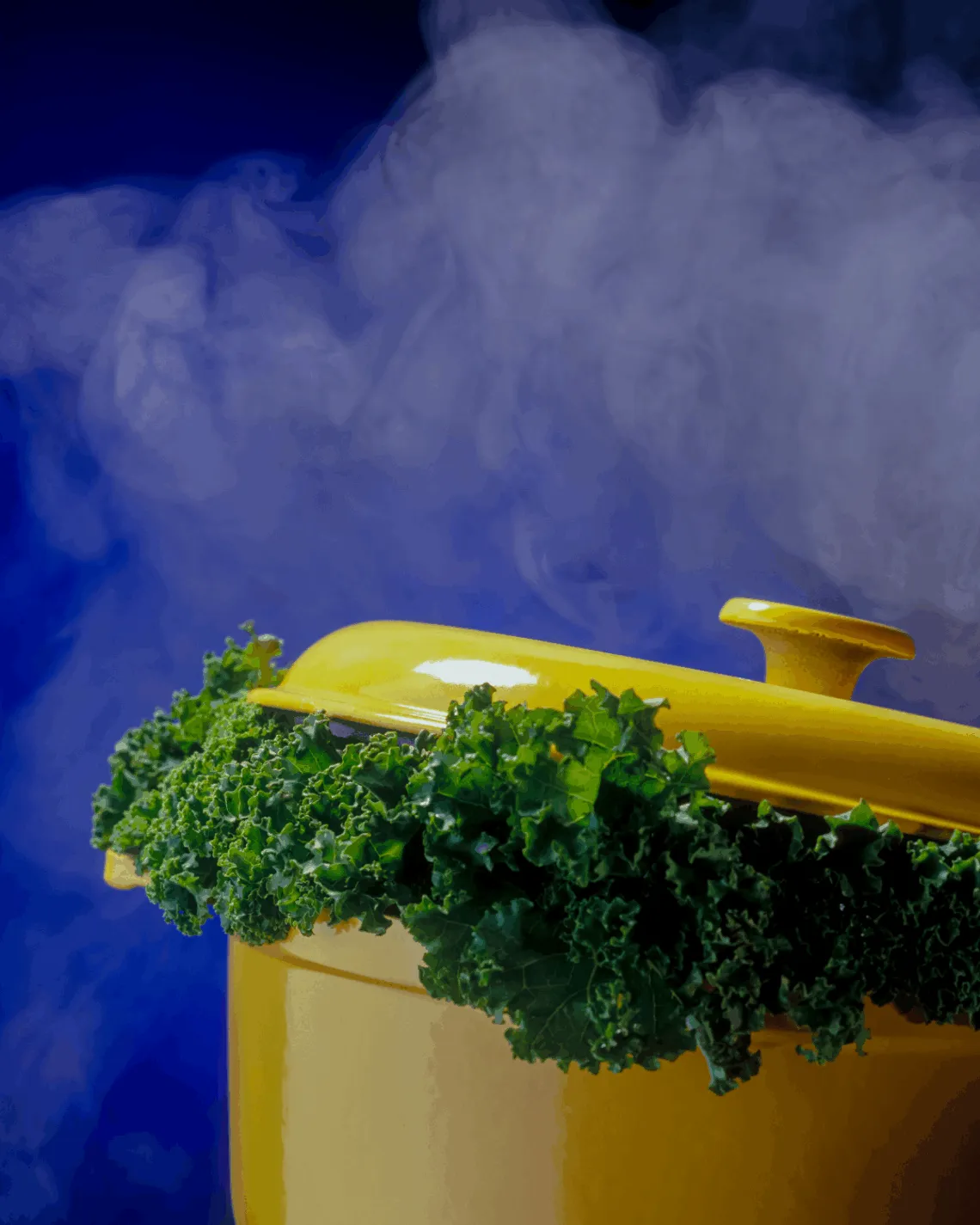 Freitagstisch: Grünkohleintopf