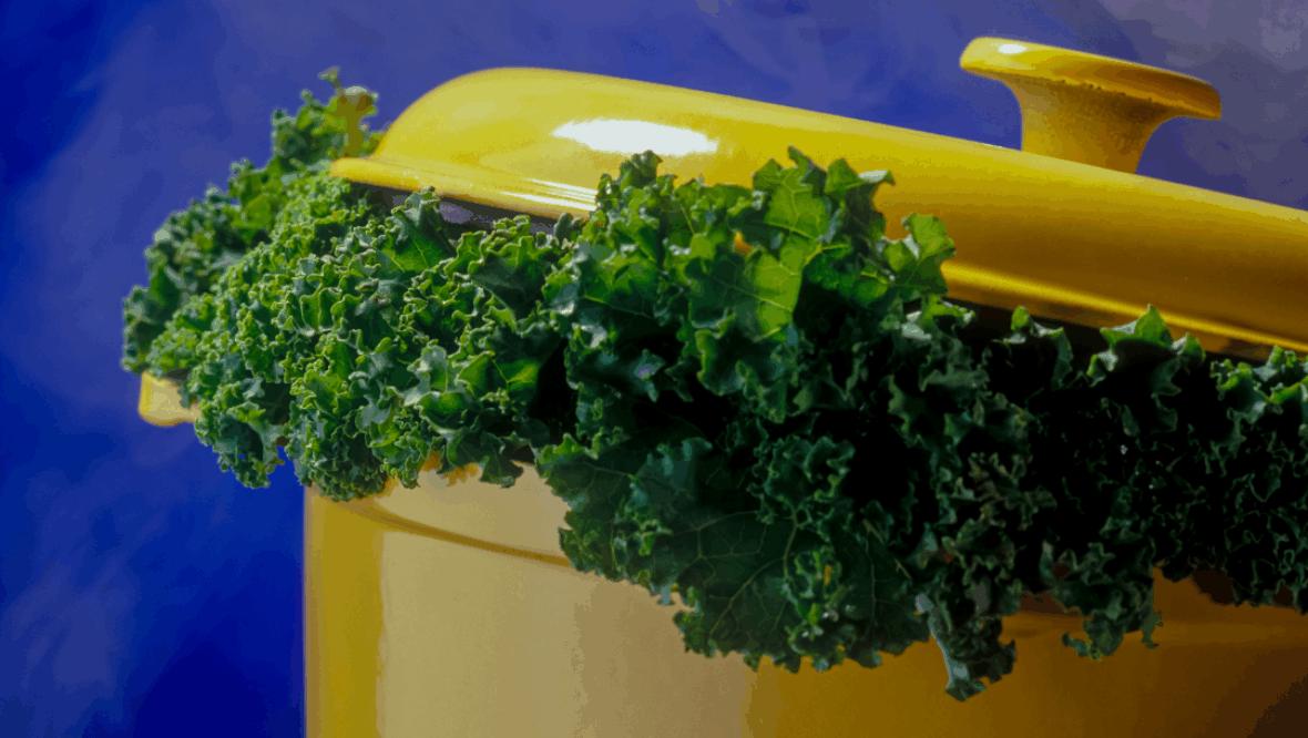 Bild: Freitagstisch: Grünkohleintopf