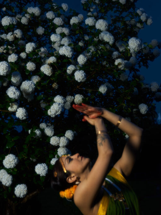 Bild: Roots and Wings