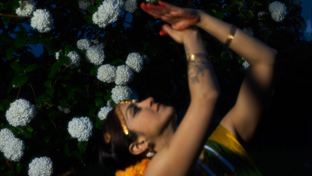 Bild: Roots and Wings