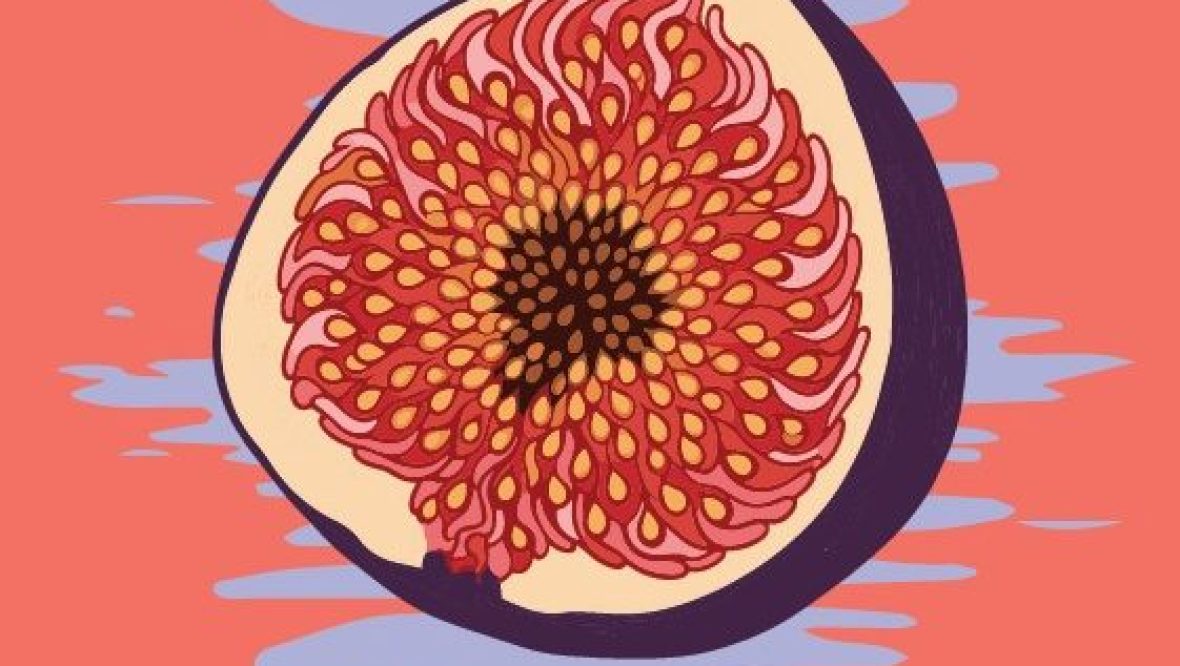 Bild: İÇ İÇE – Festival für neue anatolische Musik